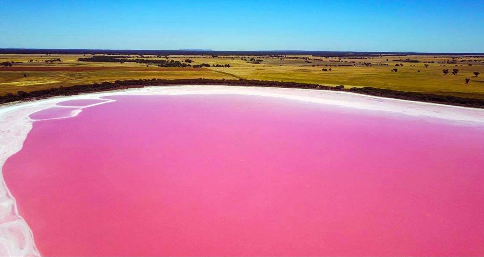 Pink Color Hillier Lake In Australia
