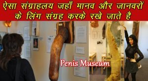 Read more about the article Penis Museum in Iceland – दुनिया का इकलौता लिंग संग्रालय, संभालकर रखे जाते है इंसान और जानवरों के लिंग